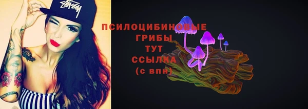 гидропоника Аркадак