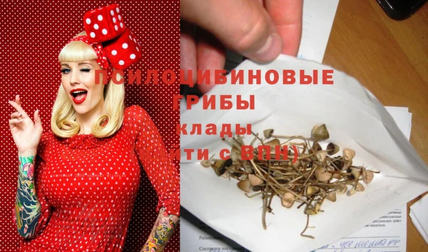 гашик Арсеньев