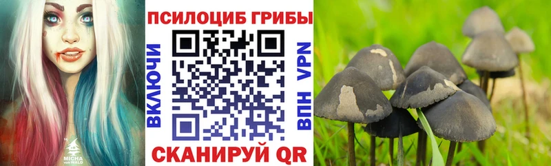 Псилоцибиновые грибы Psilocybine cubensis  darknet формула  Нязепетровск 